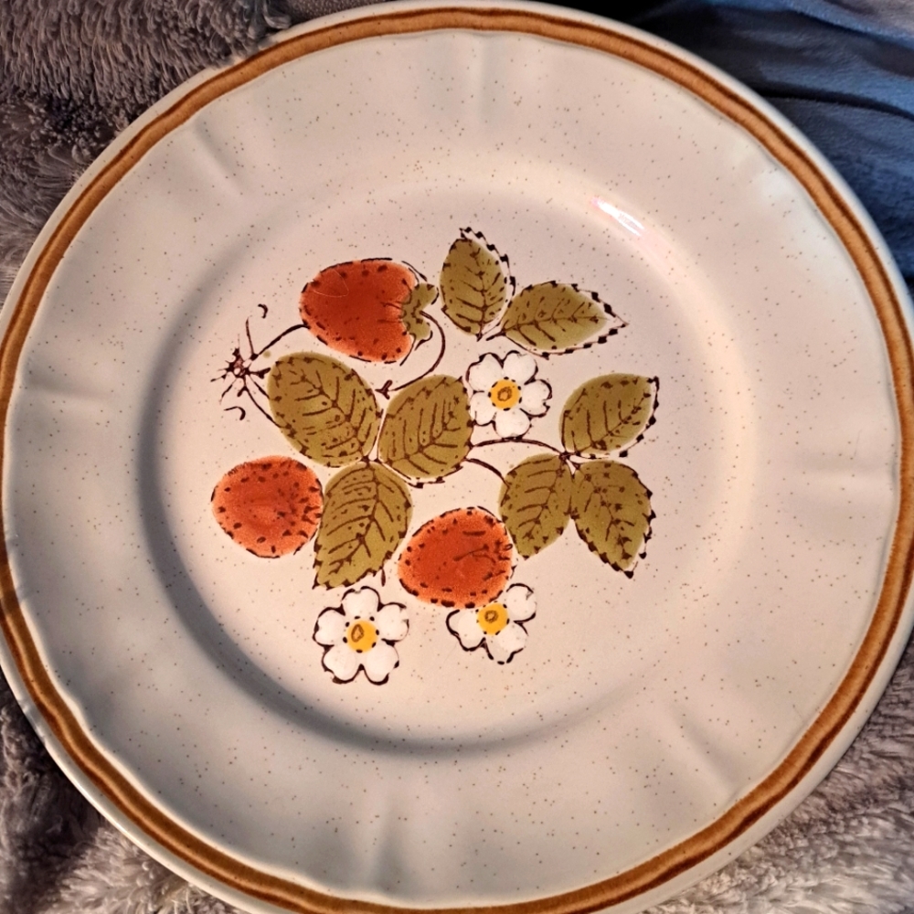 American Hearthside 10 inch plate Berries and Cream